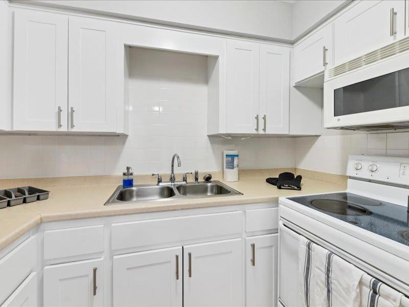 Designed And Cozy 1Br With Parking Near Stores Apartment Tampa Exterior photo